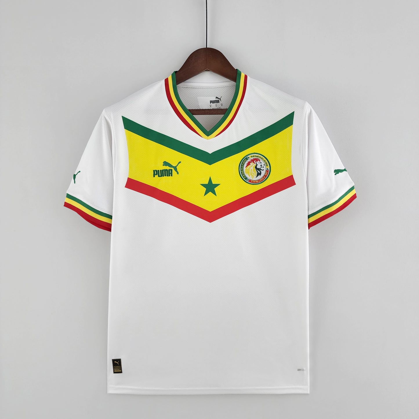 Senegal 2022 Home Kit