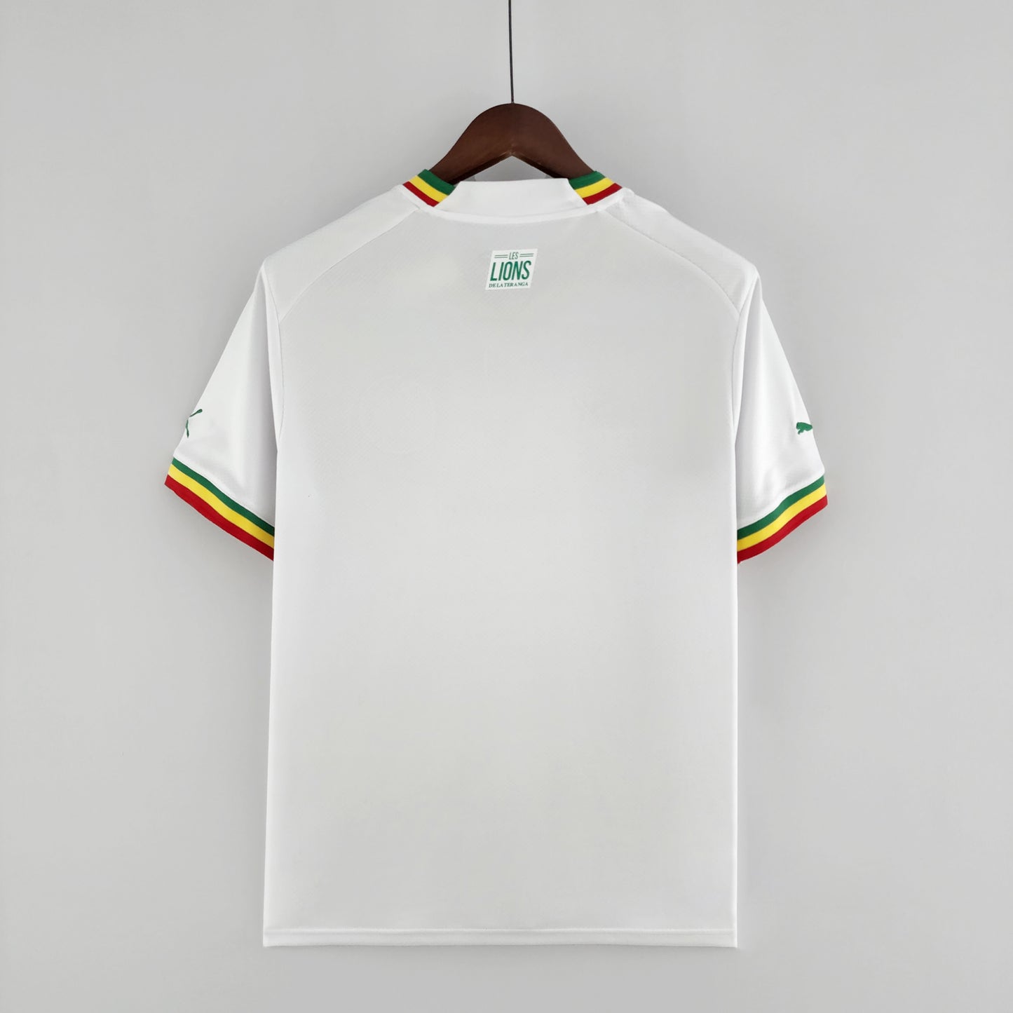 Senegal 2022 Home Kit