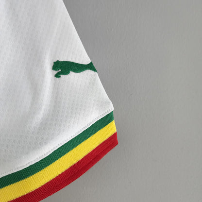 Senegal 2022 Home Kit