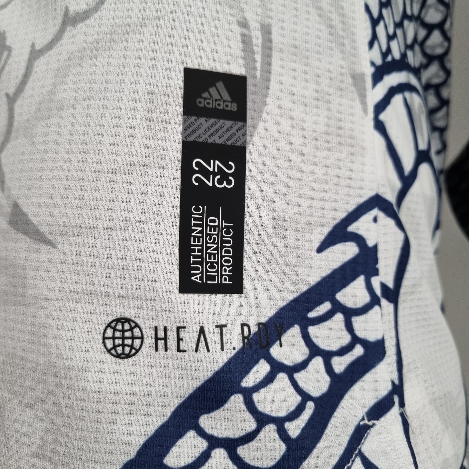 Japan X Dragon Authentic Jersey 2022